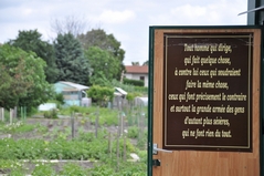 Cliquez sur la vignette pour l'agrandir
